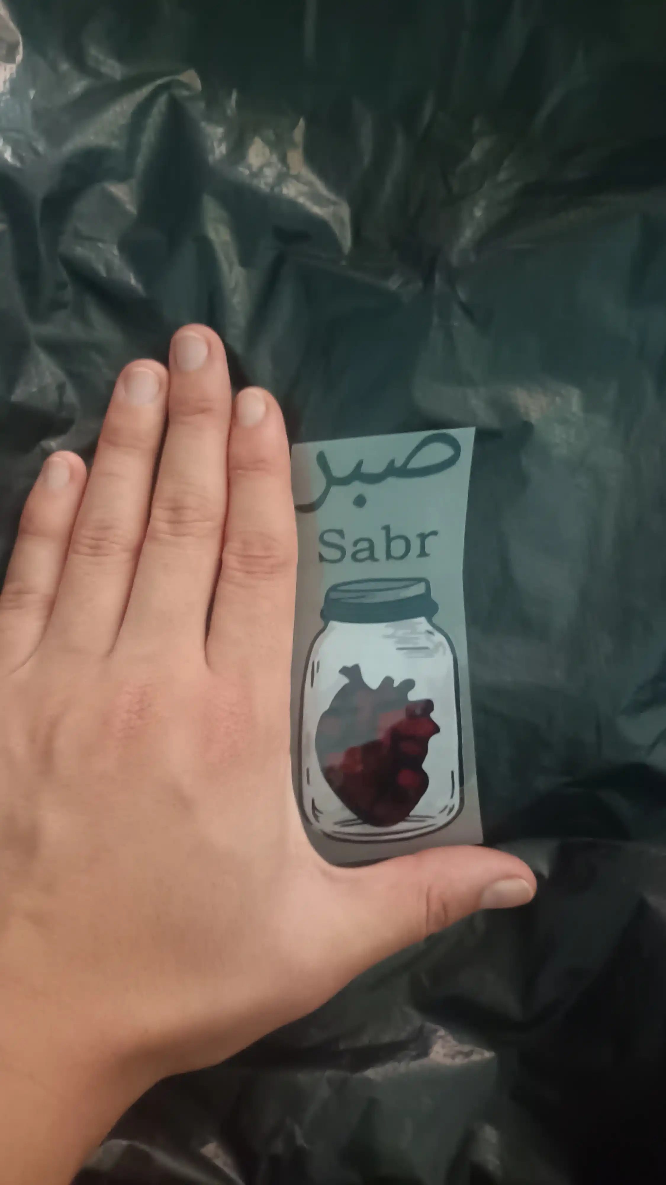 Темонаклейки, наклейка для футболки, для одежды, Sabr, можно прикрепить обычным утюгом
