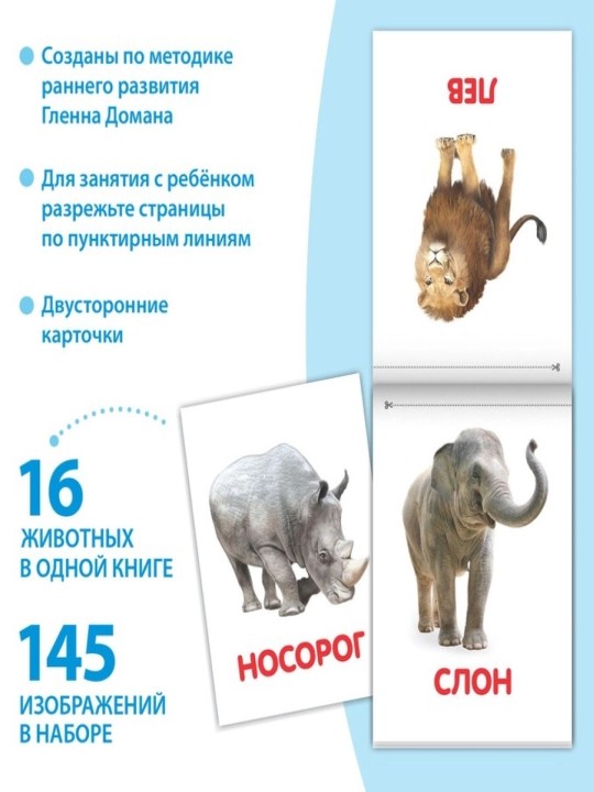 Kitoblar "Doman kartalari" bolalar uchun kartalar, to'plam