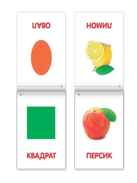 Kitoblar "Doman kartalari" bolalar uchun kartalar, to'plam