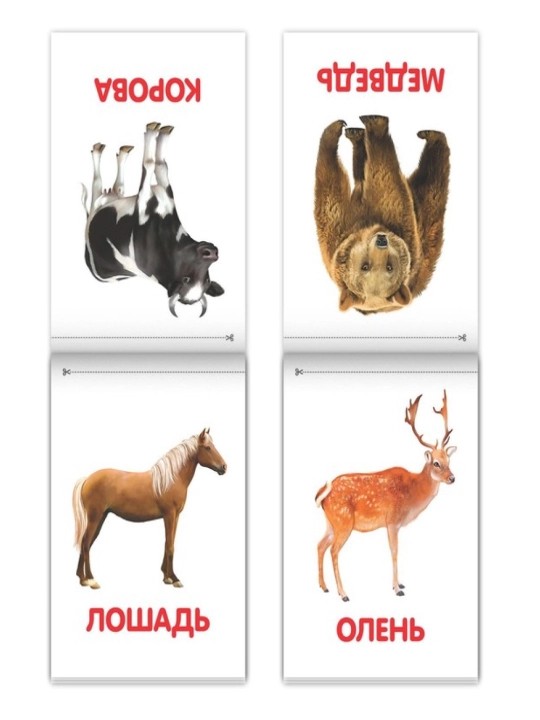 Kitoblar "Doman kartalari" bolalar uchun kartalar, to'plam