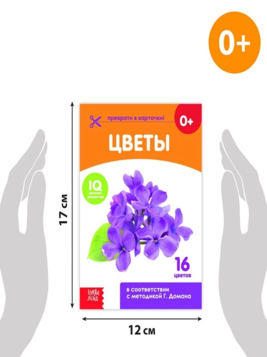 Kitoblar "Doman kartalari" bolalar uchun kartalar, to'plam
