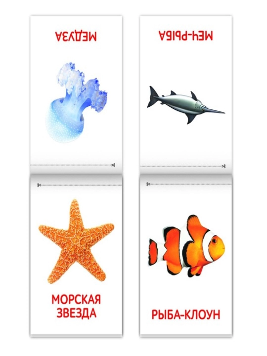 Kitoblar "Doman kartalari" bolalar uchun kartalar, to'plam