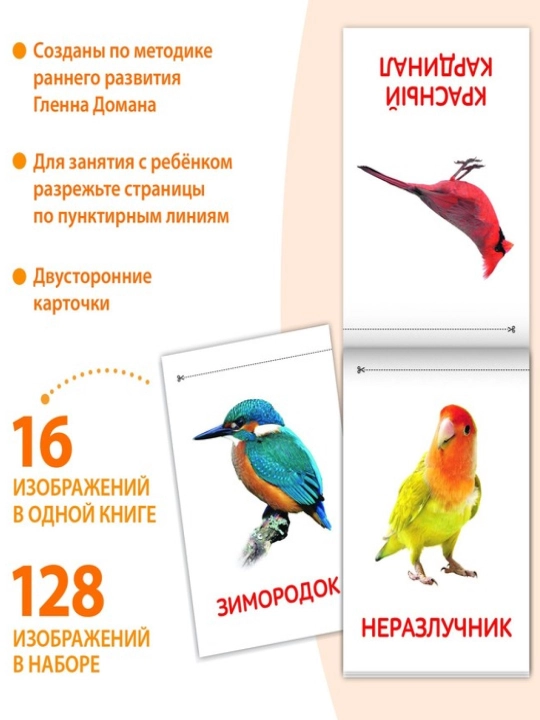 Kitoblar "Doman kartalari" bolalar uchun kartalar, to'plam