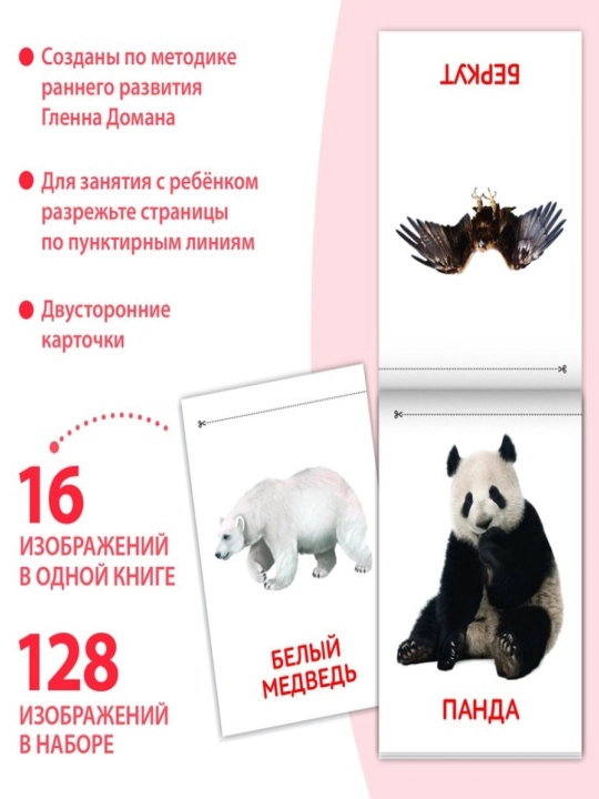 Kitoblar "Doman kartalari" bolalar uchun kartalar, to'plam