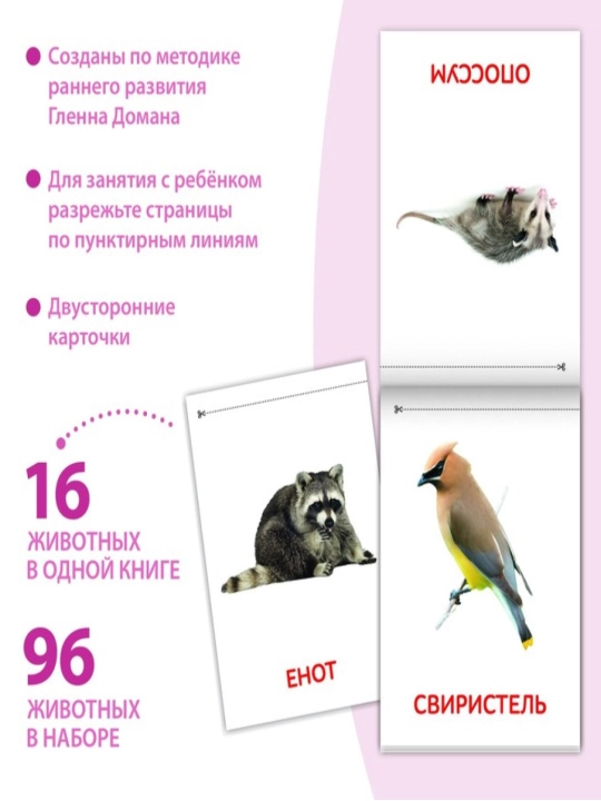 Kitoblar "Doman kartalari" bolalar uchun kartalar, to'plam