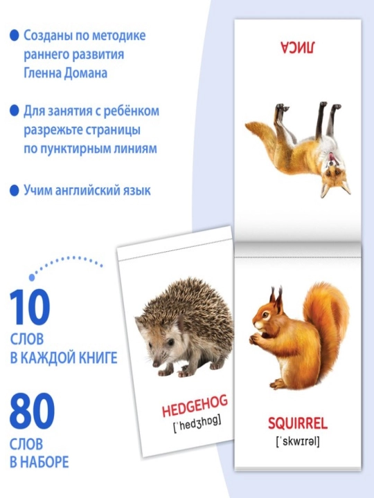 Kitoblar "Doman kartalari" bolalar uchun kartalar, to'plam
