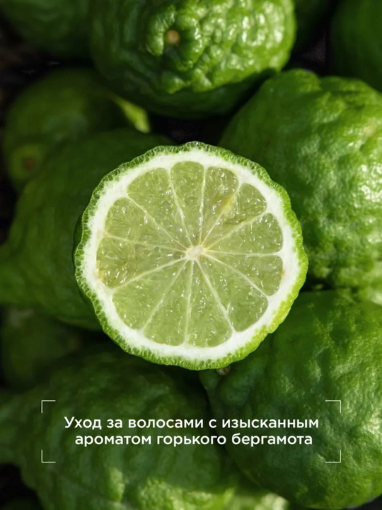 Шампунь для волос, парфюмированный, Dream Nature Bitter Bergamot, 650 мл