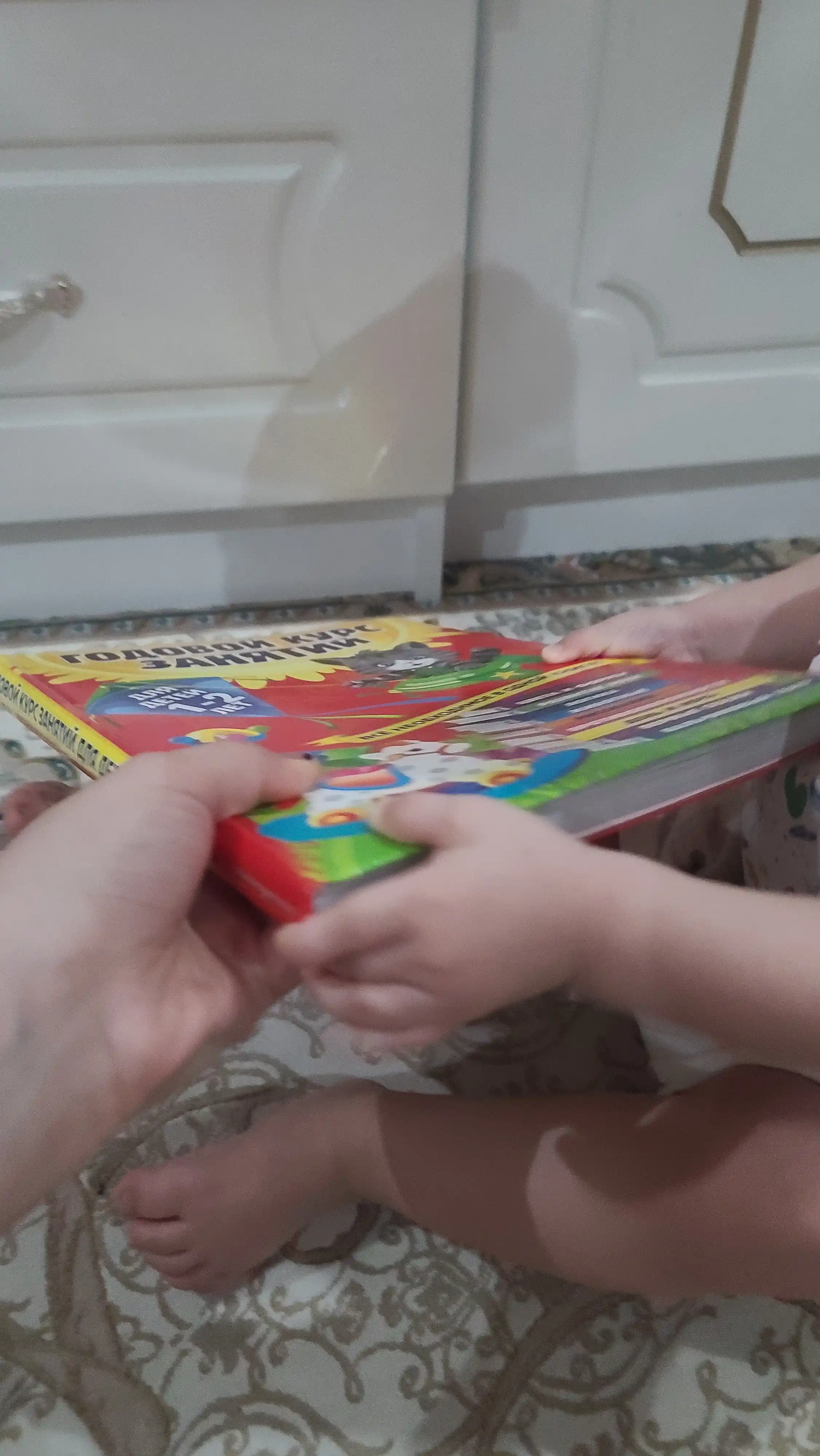 Годовой курс занятий: для детей 1-2 лет, А. Далидович, Т. Мазаник, Н. Цивилько
