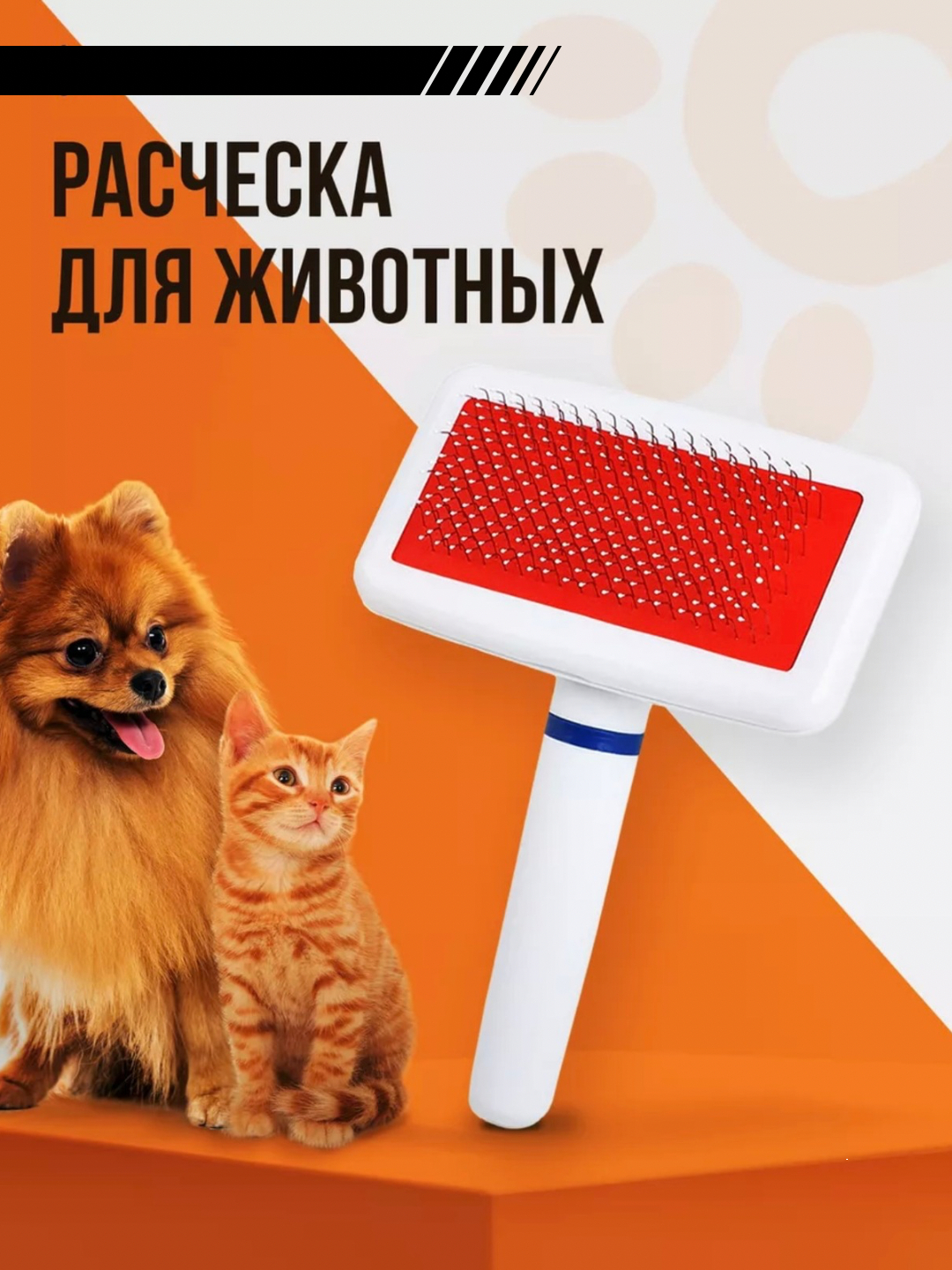 Semiz ayollar sakrash video Jinsiy aloqa mamba drohobych