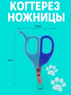 Лазурный