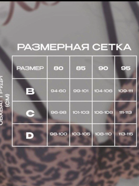 Ayollar ichki kiyimlari to’plami, chashka В