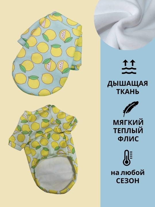 Толстовка, одежда, теплая, для маленьких собак, для животных