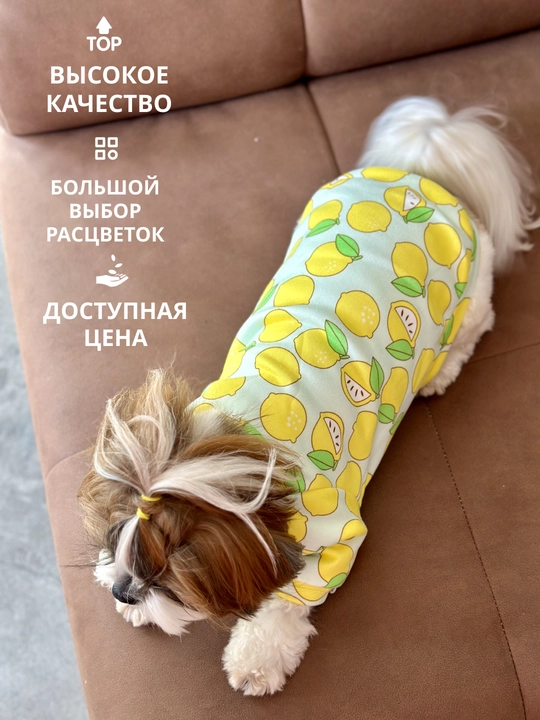 Толстовка, одежда, теплая, для маленьких собак, для животных
