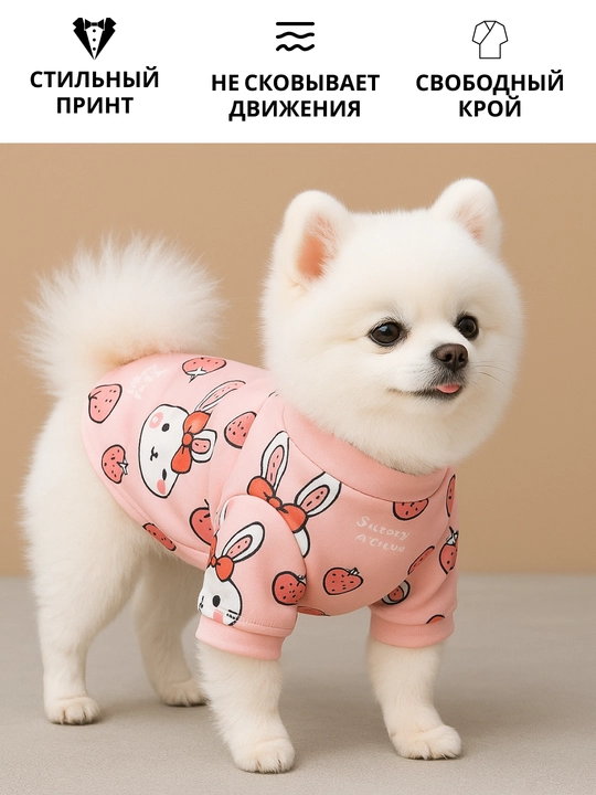 Толстовка, одежда, теплая, для маленьких собак, для животных
