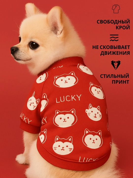 Толстовка, одежда, теплая, для маленьких собак, для животных