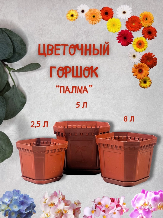 Gultuvak "palma" to'plami, 2,5 l - 5 l - 8 litr - 