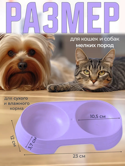 Hojatxonadagi qizning surati