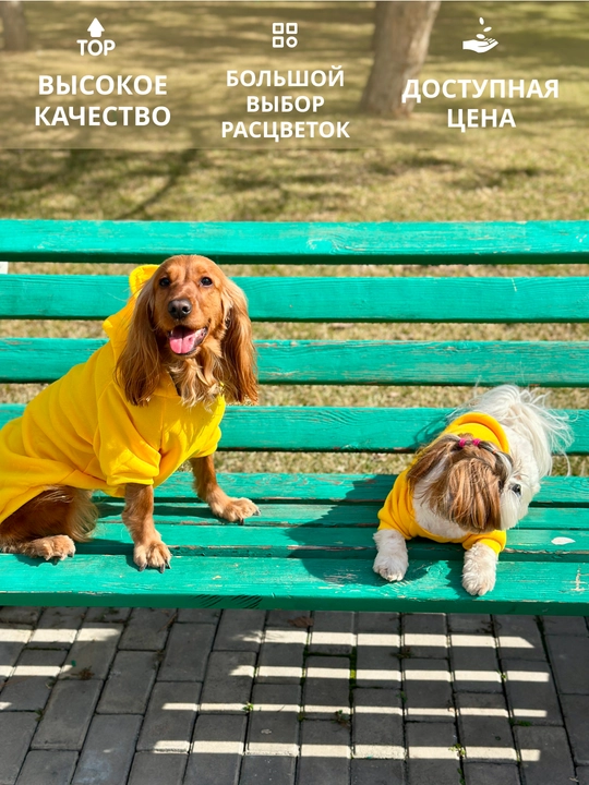 Худи для собак, толстовка, с капюшоном