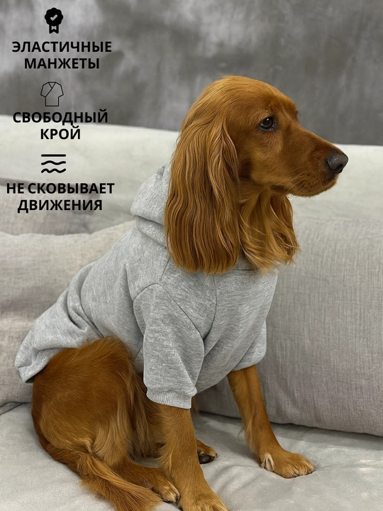 Худи для собак, толстовка, с капюшоном