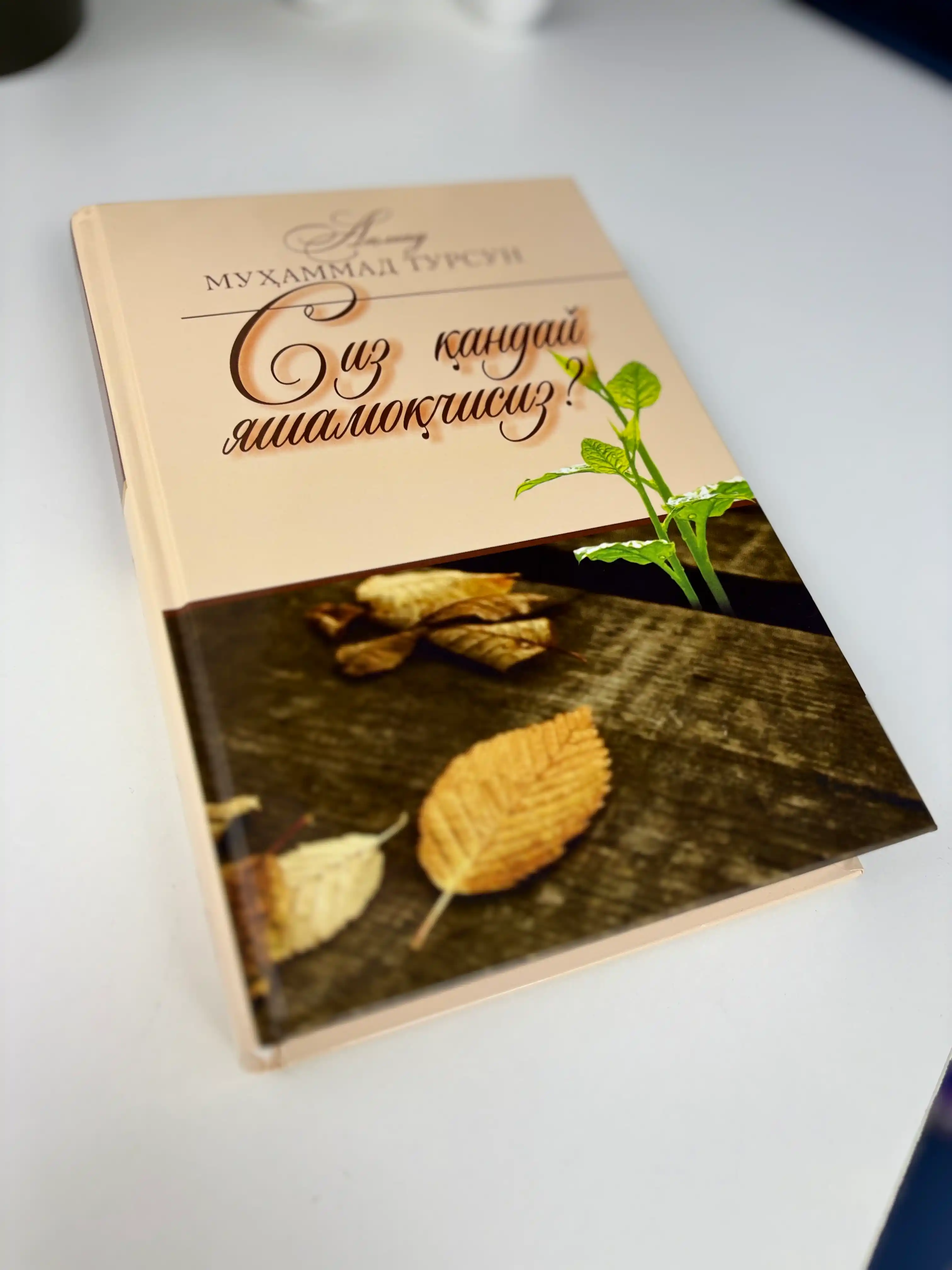 Siz qanday yashamoqchisiz? (kirill) 301