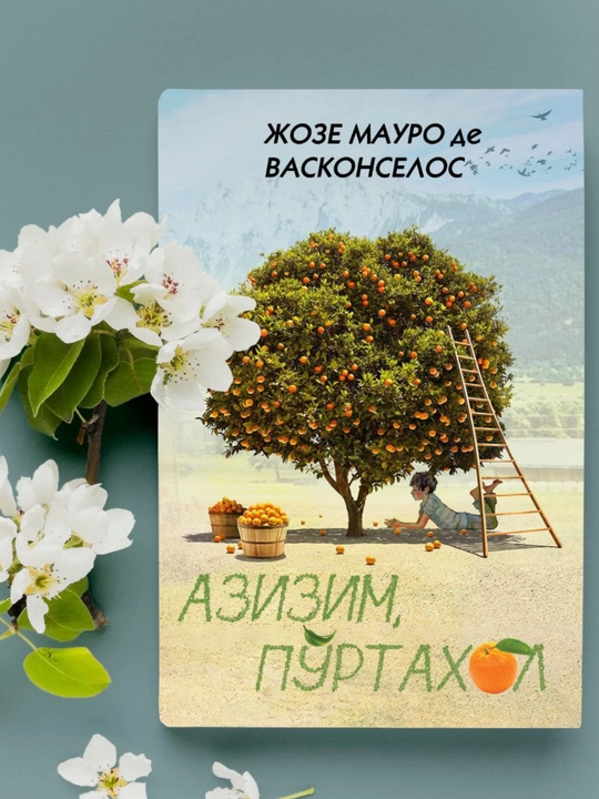 Azizim Po'rtaxol Joze mauro DE vaskonselos, Roman