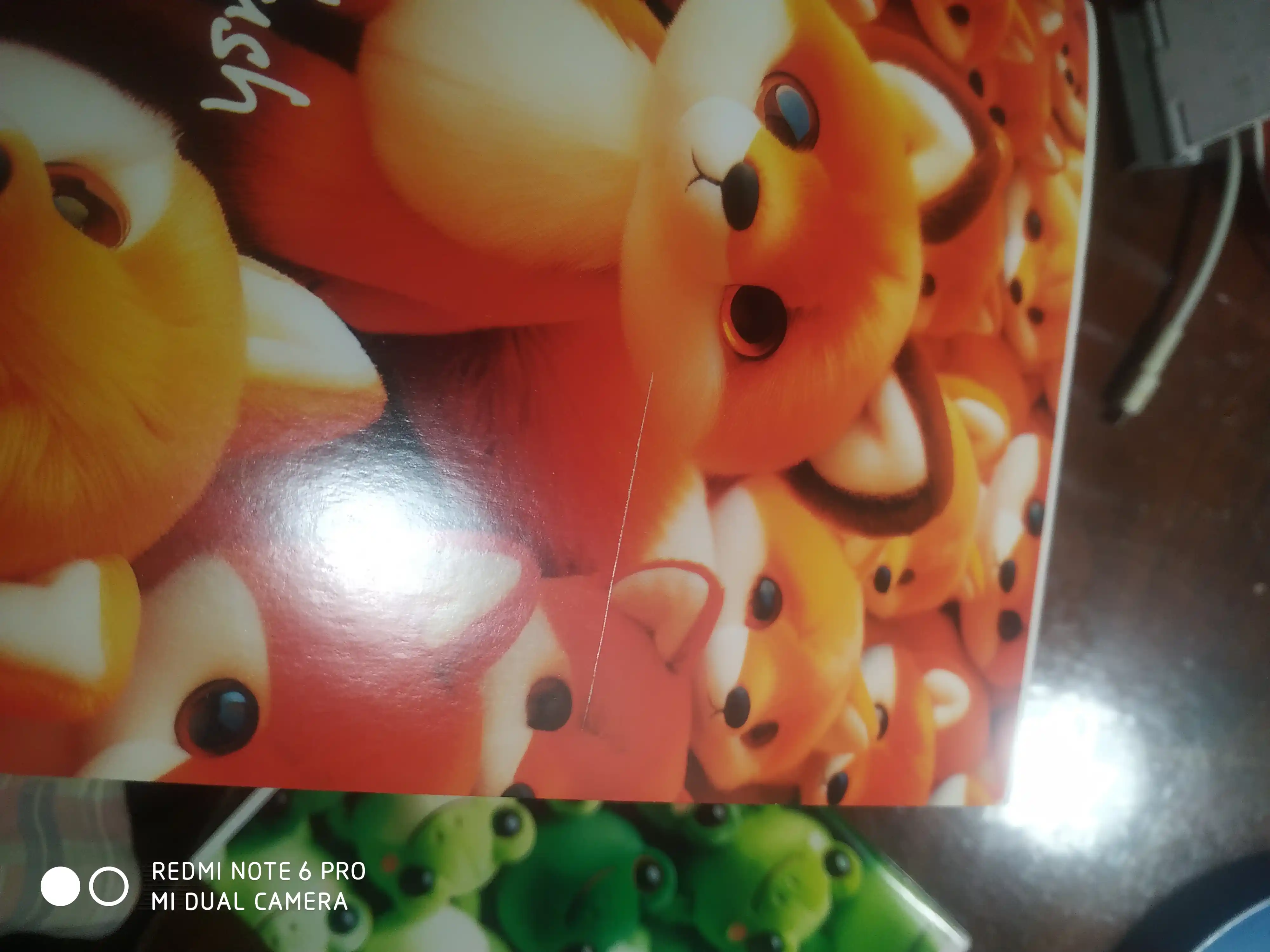 48-daftar, A5, BG "Plush" katakli