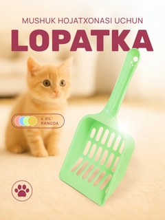 Лайм