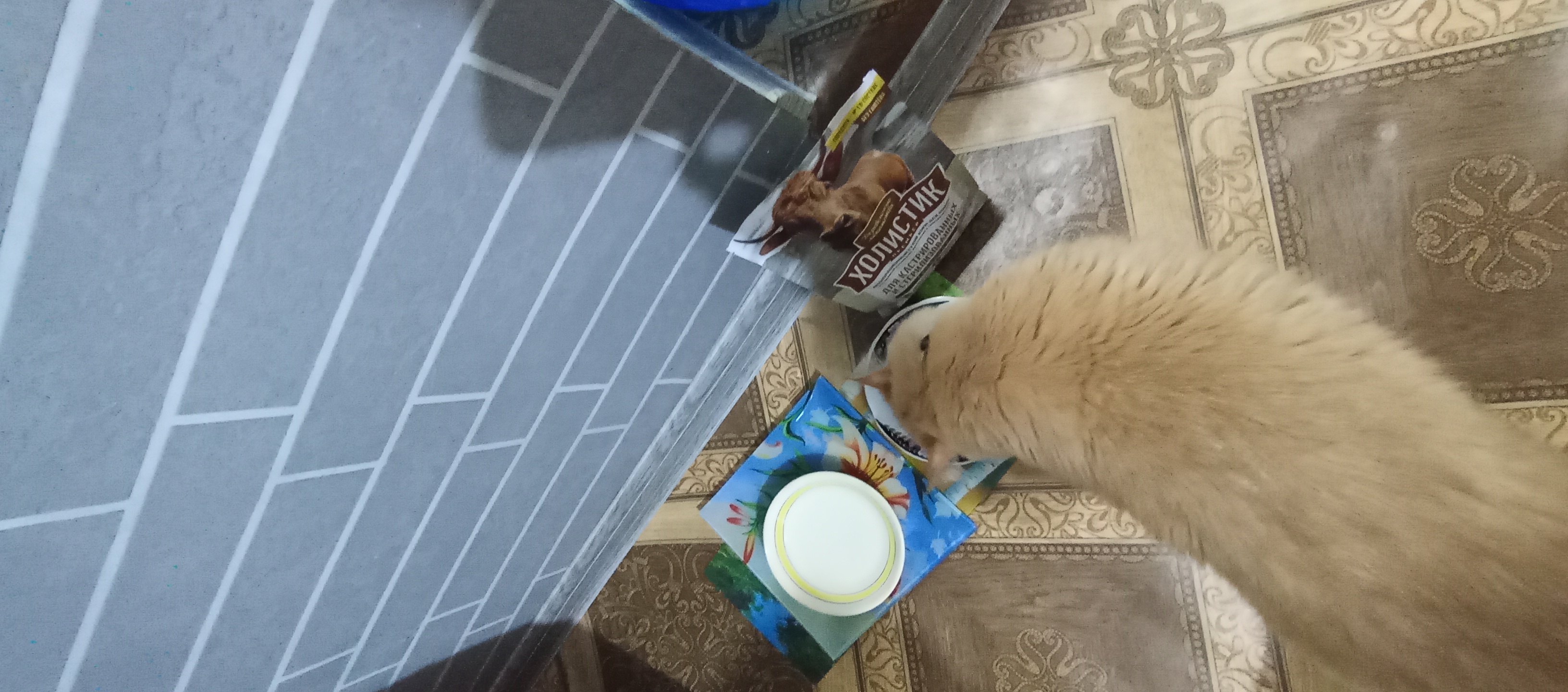 Корм для кошек Холистик Simple Pets, 400 г и 2 кг, лосось, курица