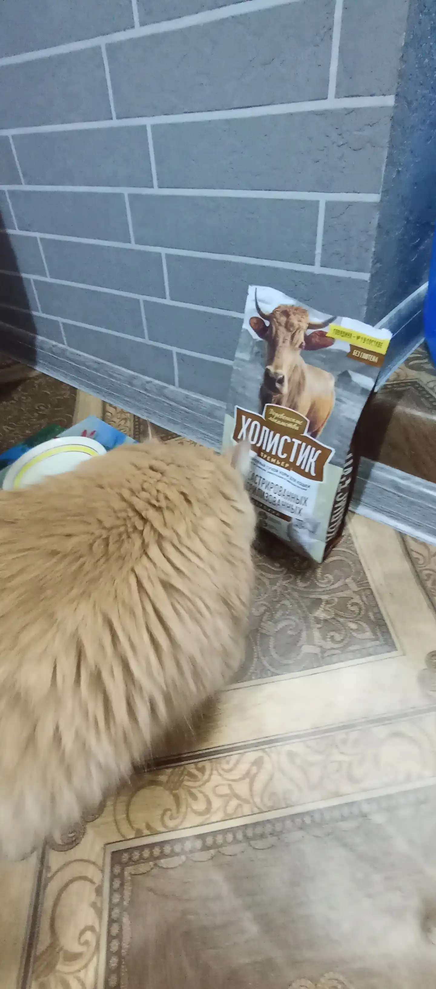 Корм для кошек Холистик Simple Pets, 400 г и 2 кг, лосось, курица