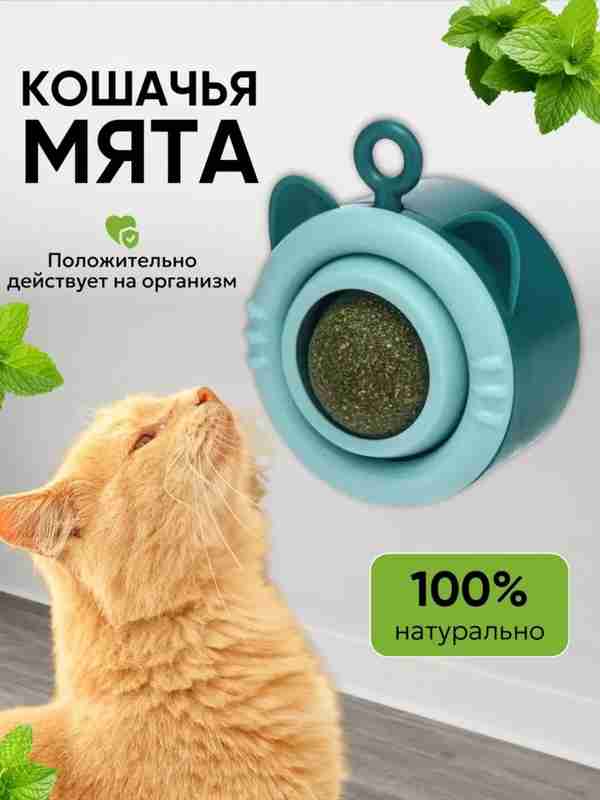 Sperma qayerdan keladi?