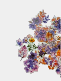 Lavanda