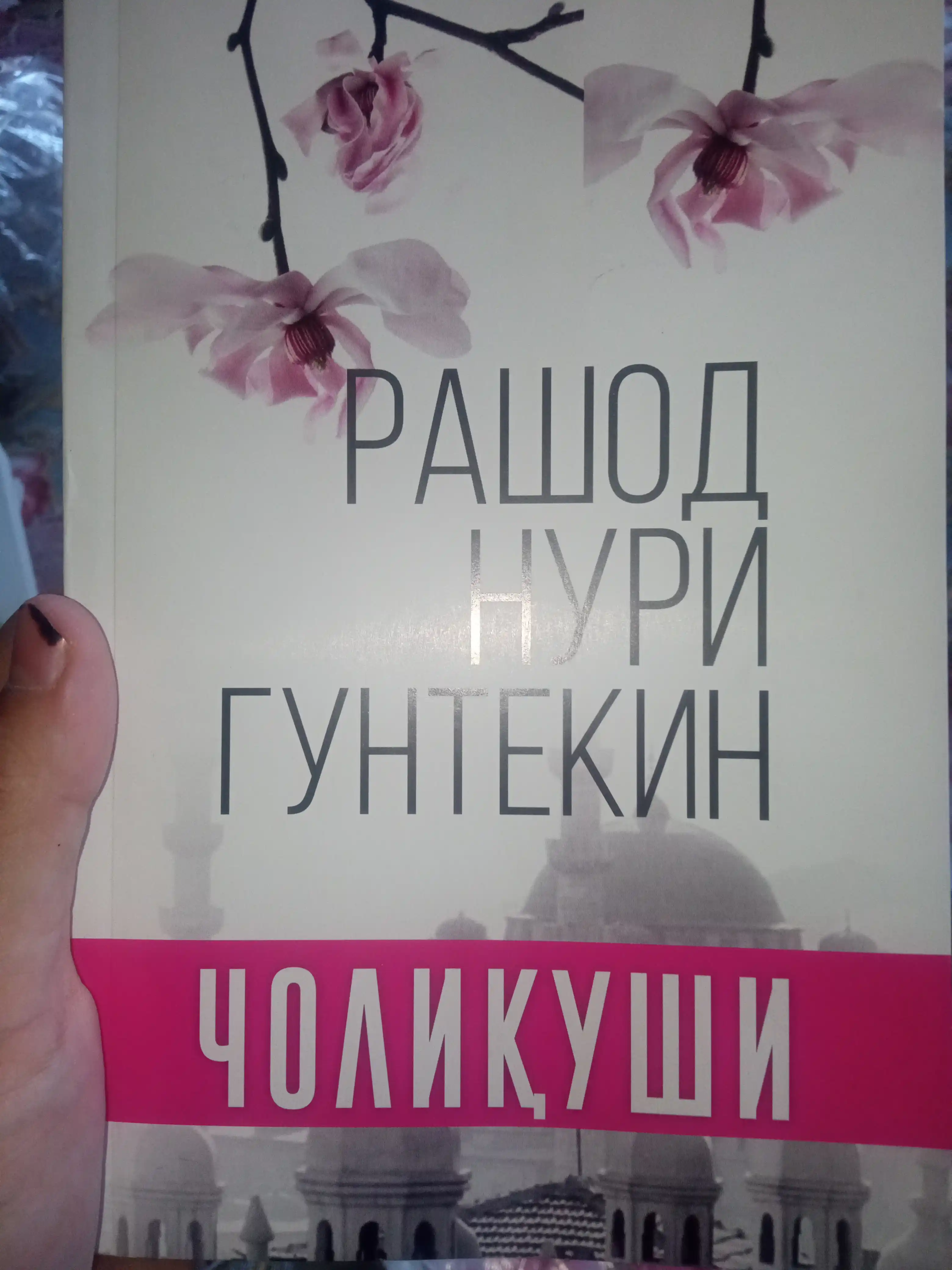 Алкимёгар, Чолиқуши, Телба, Кичкина Шаҳзода