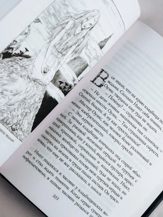 Kitob, Istoriya s kladbishem, Koralina s illustratsiyami Krisa Riddella Geyman Nil