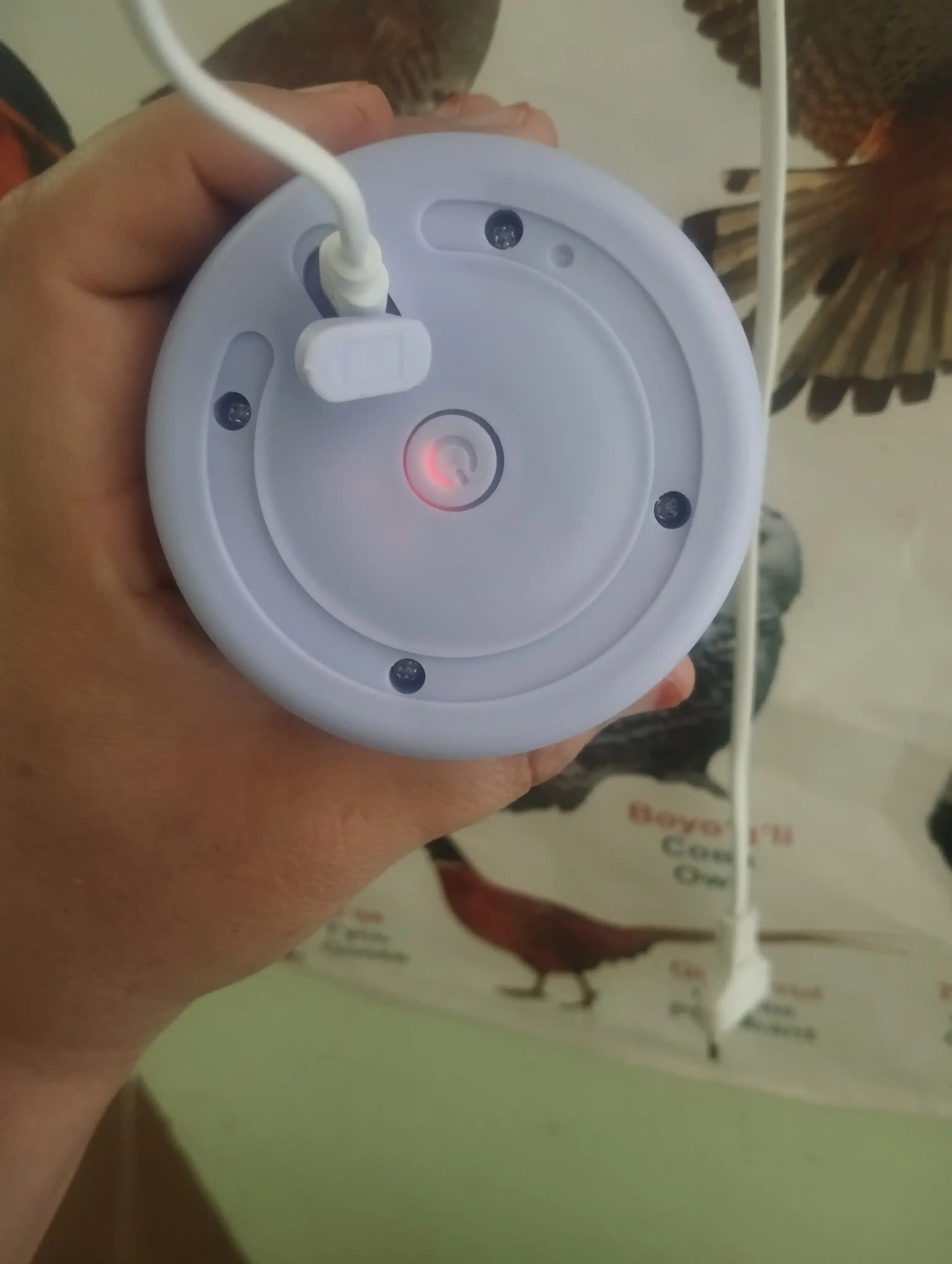 Mini blender, silkitgich, smuzi va kokteyllar uchun, sport ovqatlanishi