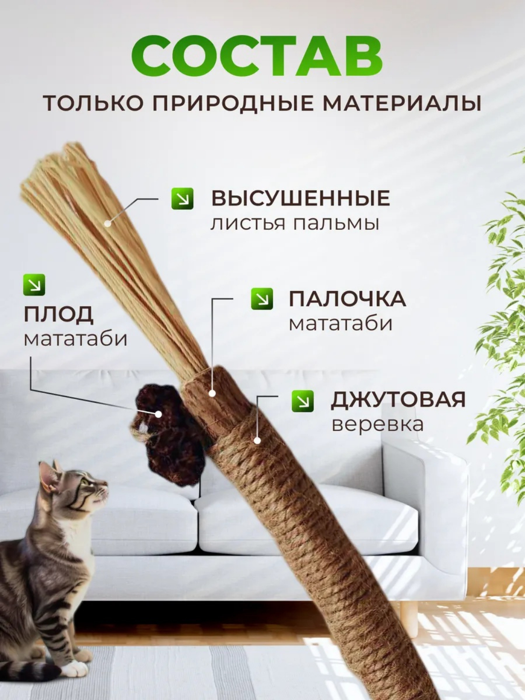 Musiqa Lobanov porno aktyori