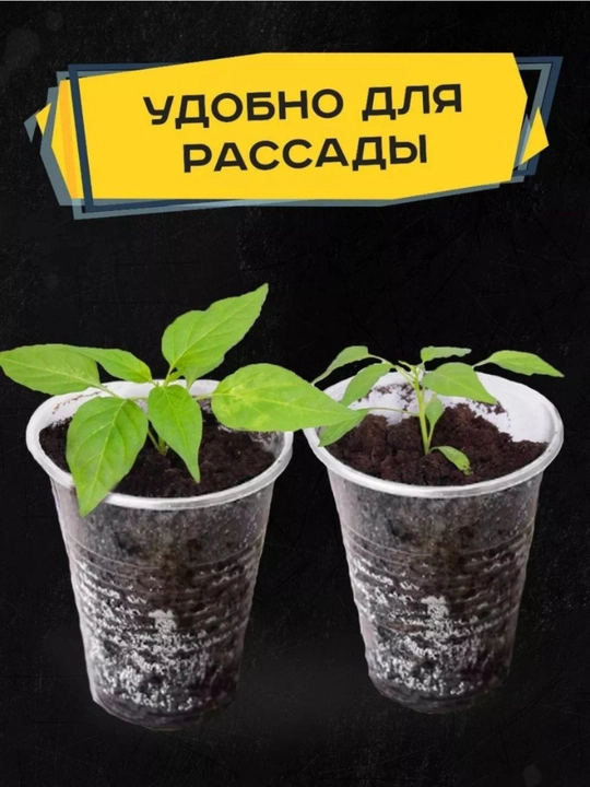 Kuler uchun bir martalik plastik stakan, 200 ml 100dona