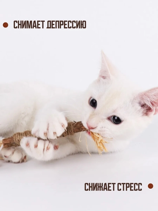 Игрушка для кошек с лакомством кошачьей мятой, шарик, лизун