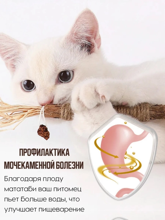 Игрушка для кошек с лакомством кошачьей мятой, шарик, лизун