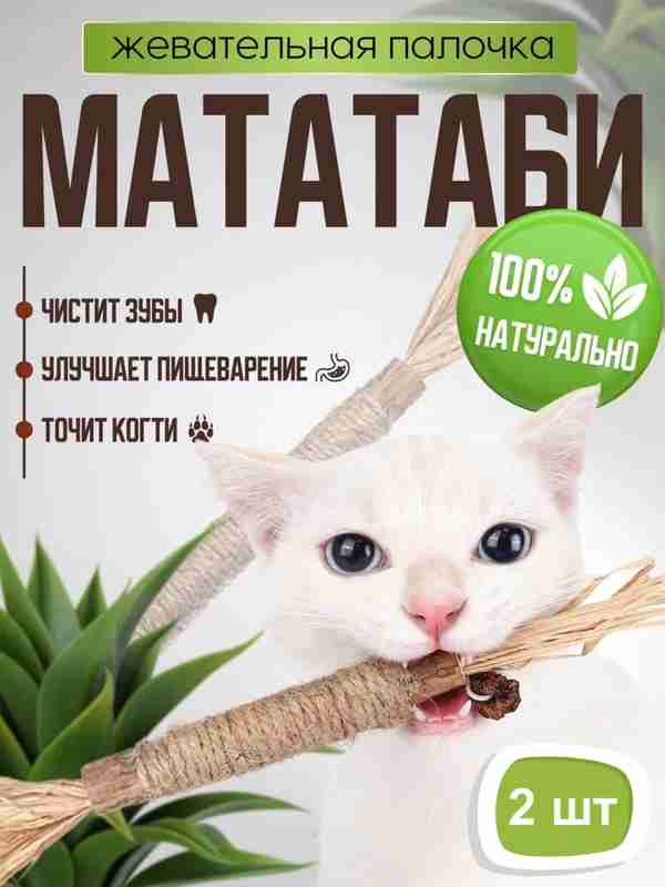 Ikki juftlikning guruh jinsiy aloqasini onlayn tomosha qiling