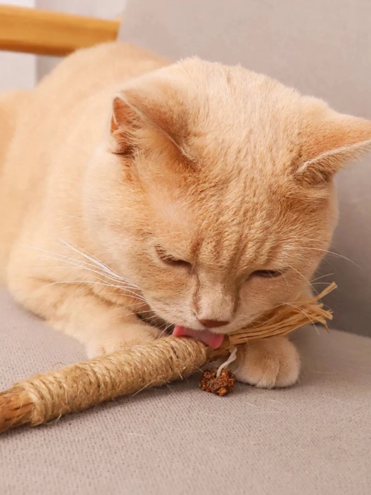 Игрушка для кошек с лакомством кошачьей мятой, шарик, лизун