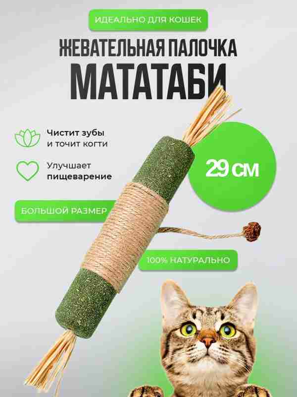 Jinsiy aloqa video kokraklar