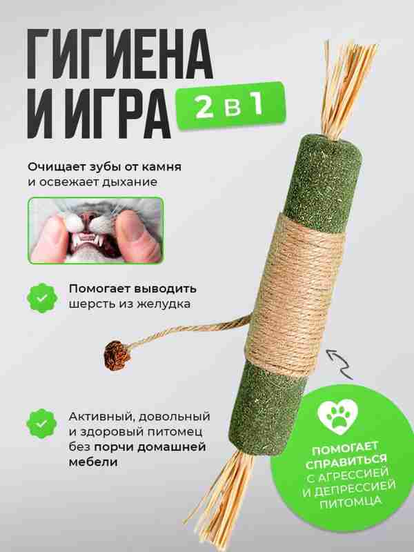 Oyoqlar orasidagi porno fotosuratlar