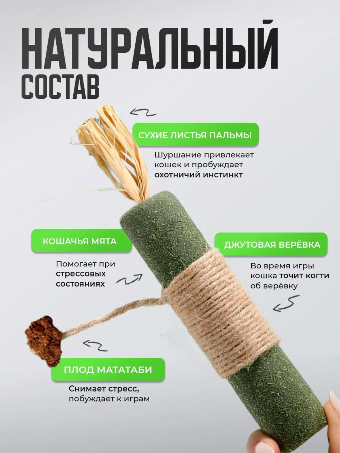 Jinsiy aloqa butunlay josuslar