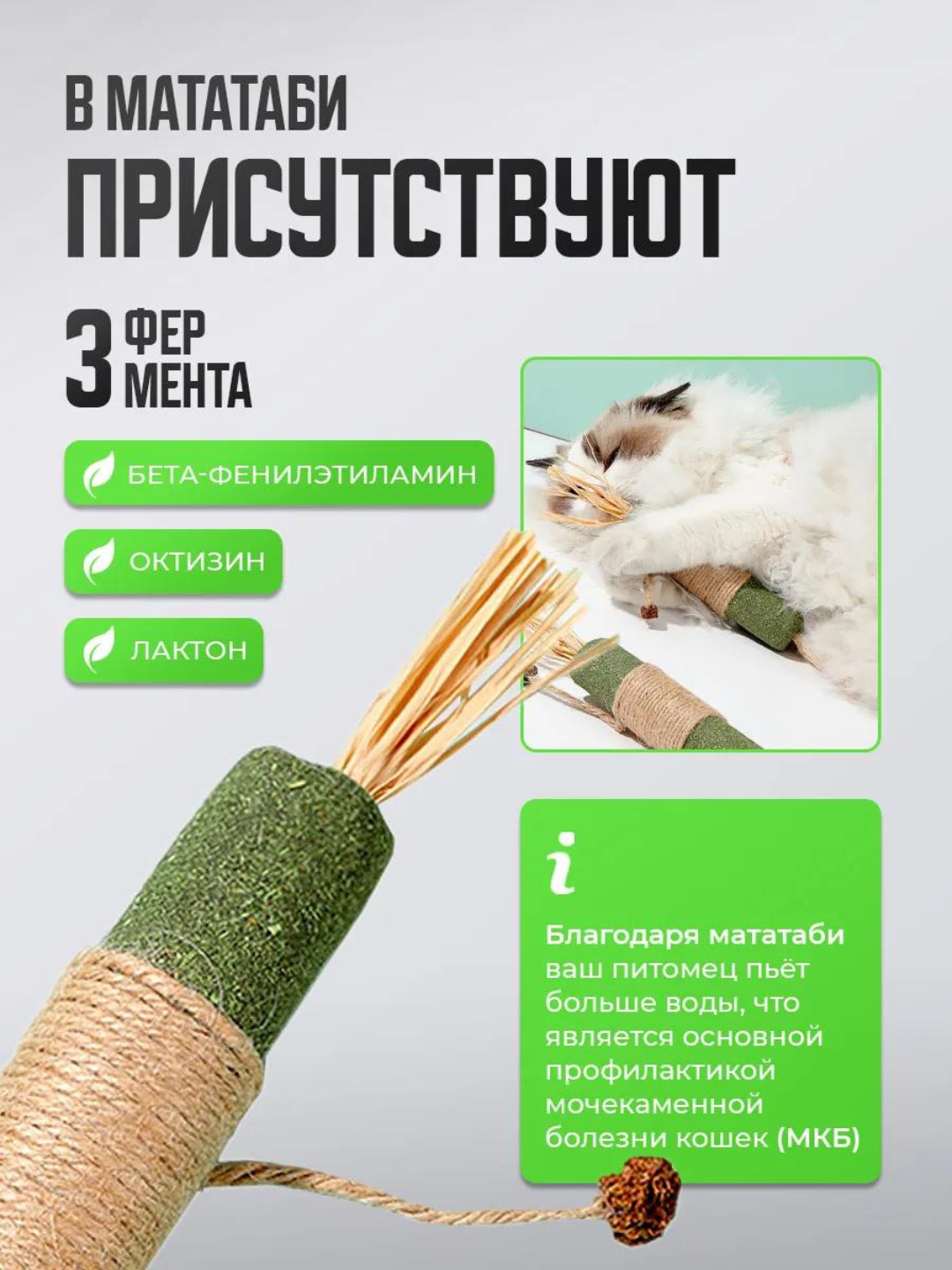 Qozoq ayolni sikishgan porno video Porno rus xotini va uning sevishganlar erini kamsitish