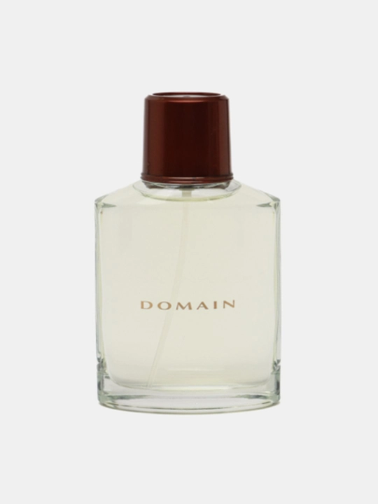 Domain erkaklar odekoloni, 73 ml