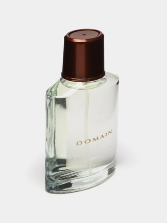 Domain erkaklar odekoloni, 73 ml
