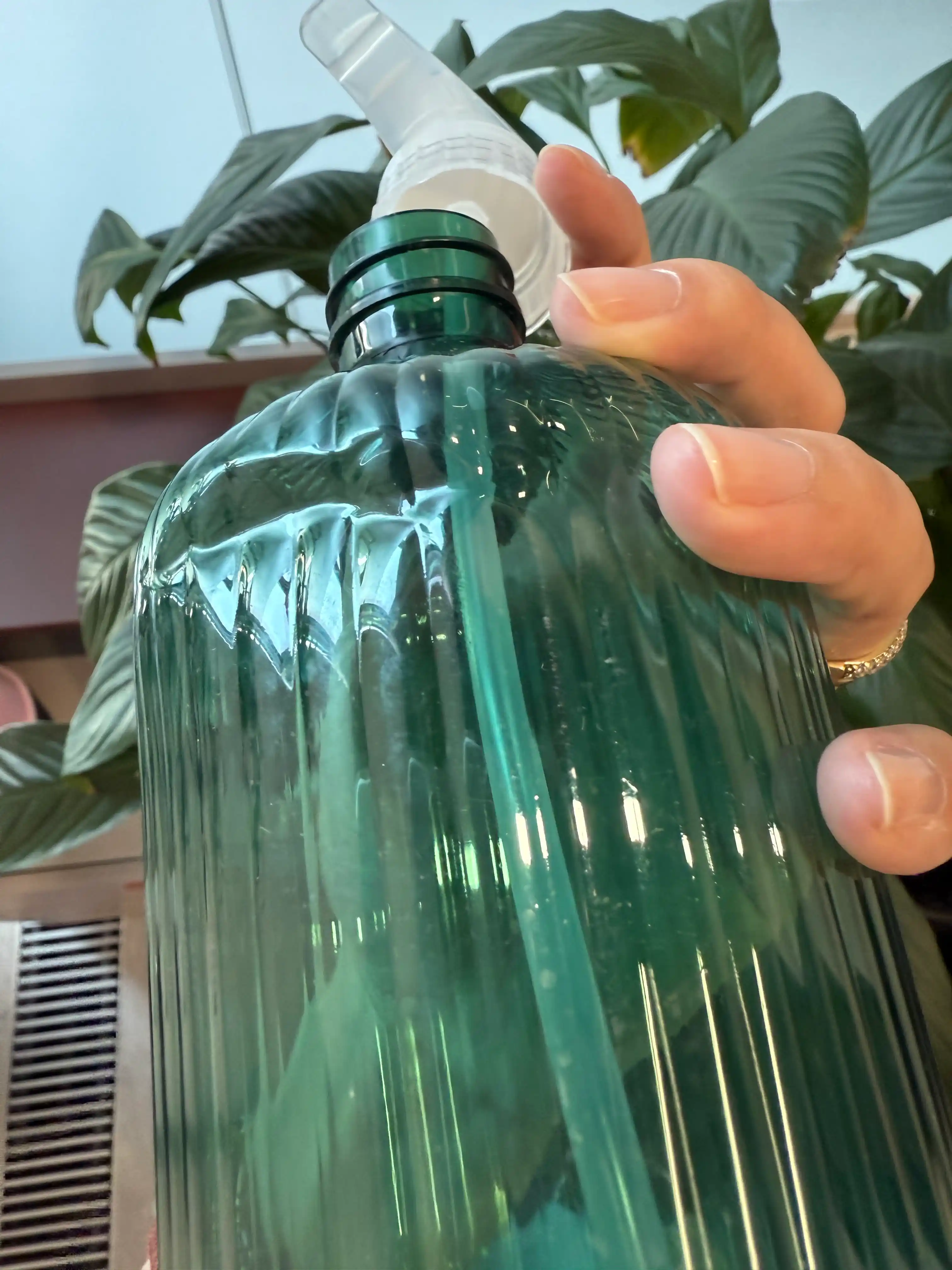 Gullar va osimliklar uchun purkagich pulverizator, 500 ml, 5 ta rang