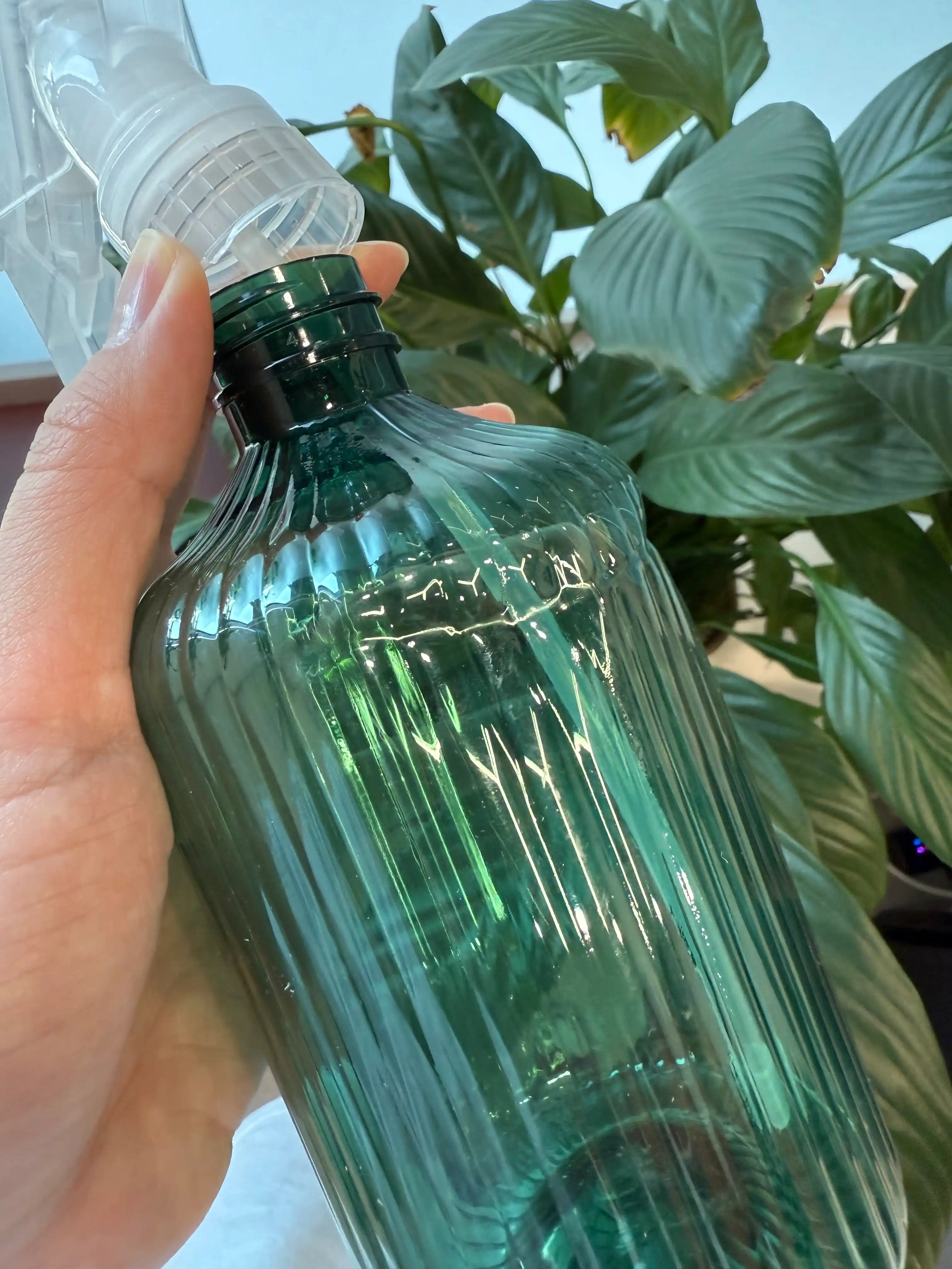 Gullar va osimliklar uchun purkagich pulverizator, 500 ml, 5 ta rang