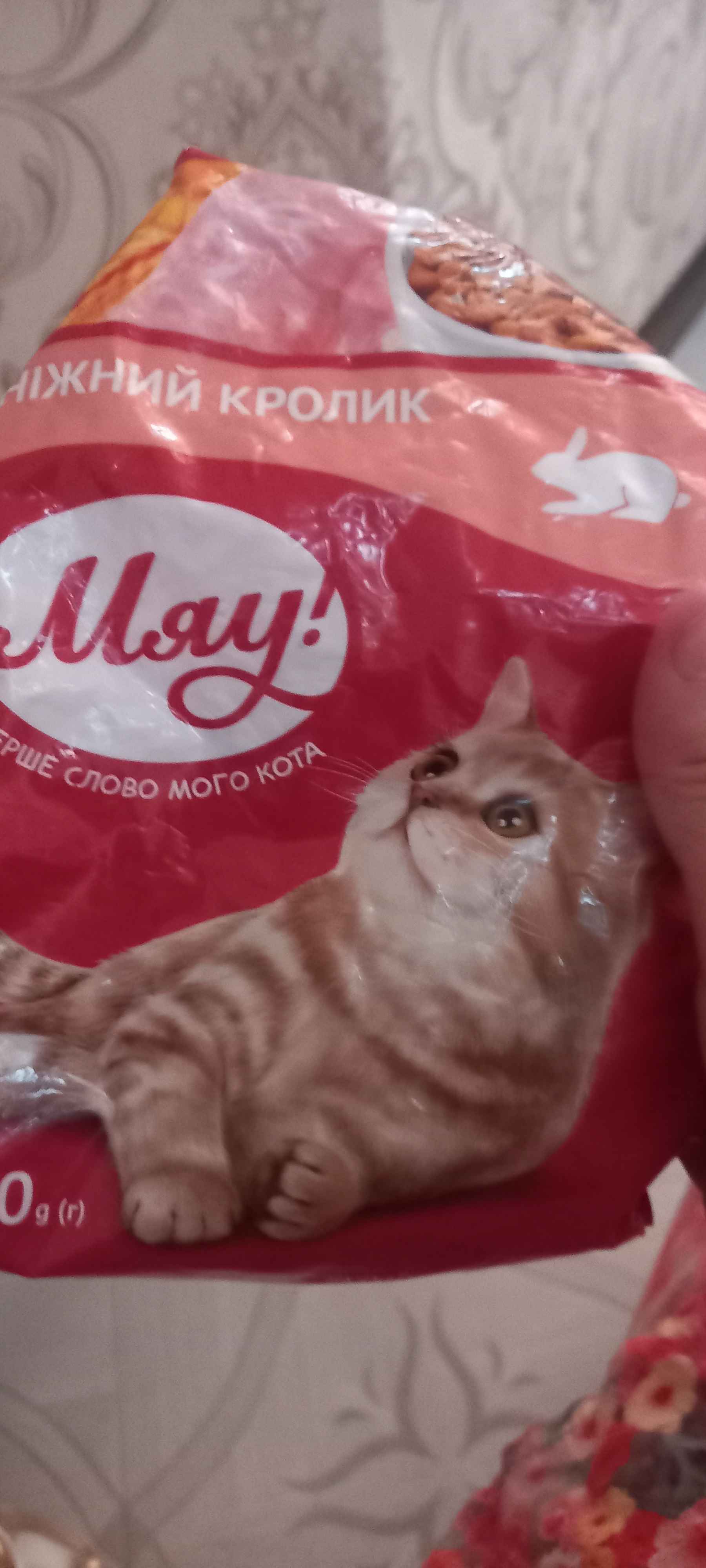 Berkov porno bepul Xizmatkor tomosha qilayotganda egalari jinsiy aloqada bolishadi.