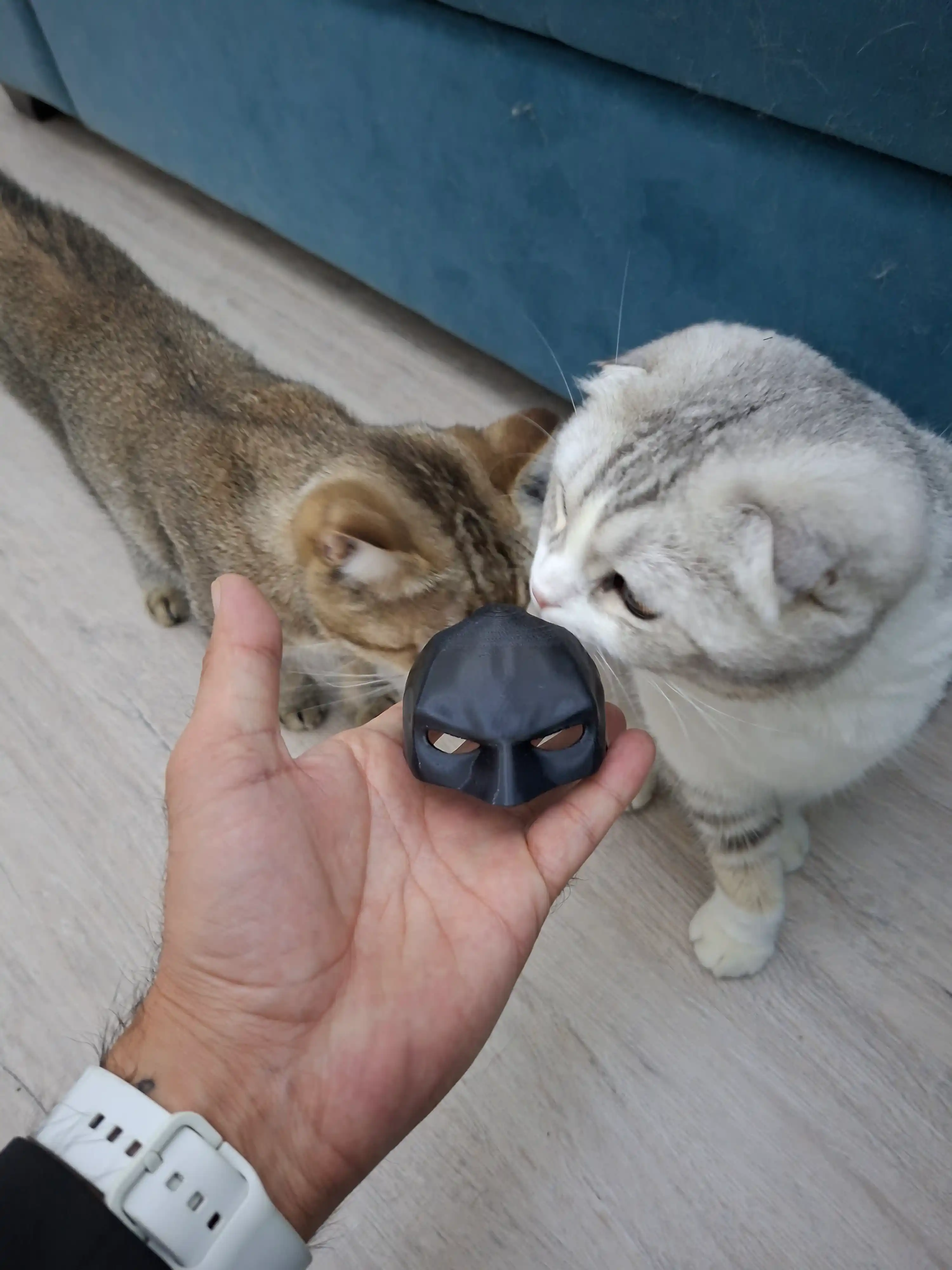 Маска для кошек